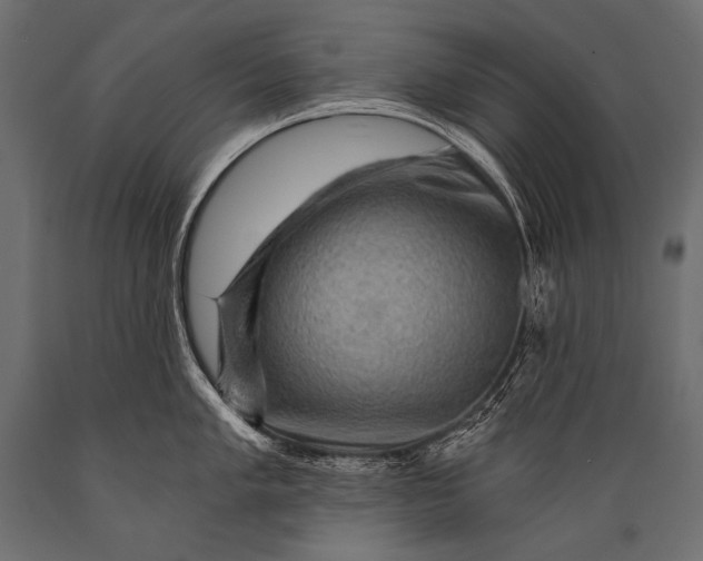 X0000088861005200706291513