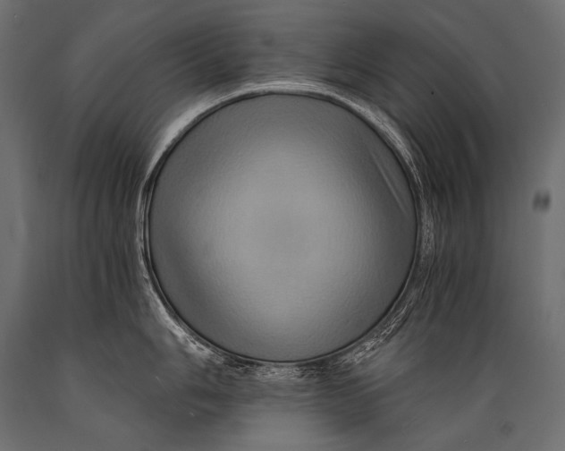 X0000088861006200706291513