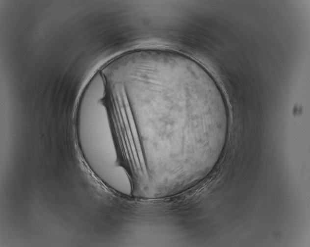 X0000088861008200706291513