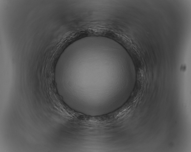 X0000088861009200706291512