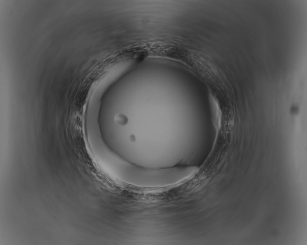 X0000088861010200706291512