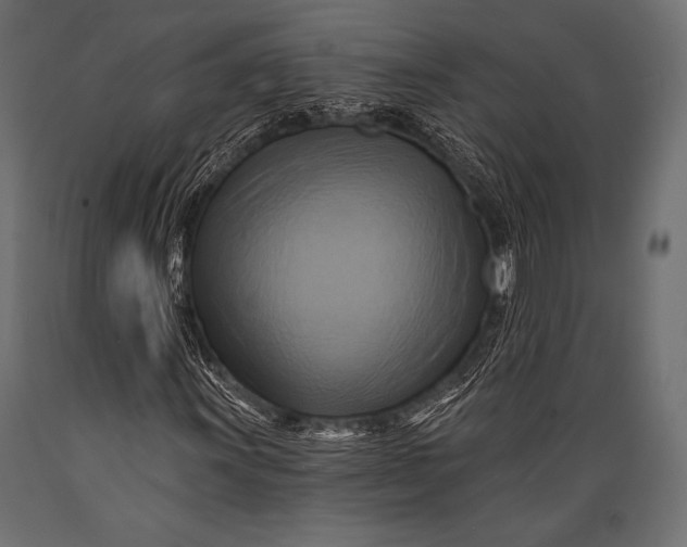 X0000088861011200706291513
