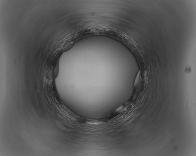 X0000088861012200706291513