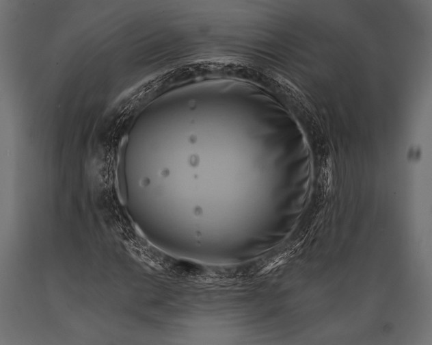 X0000088861014200706291513