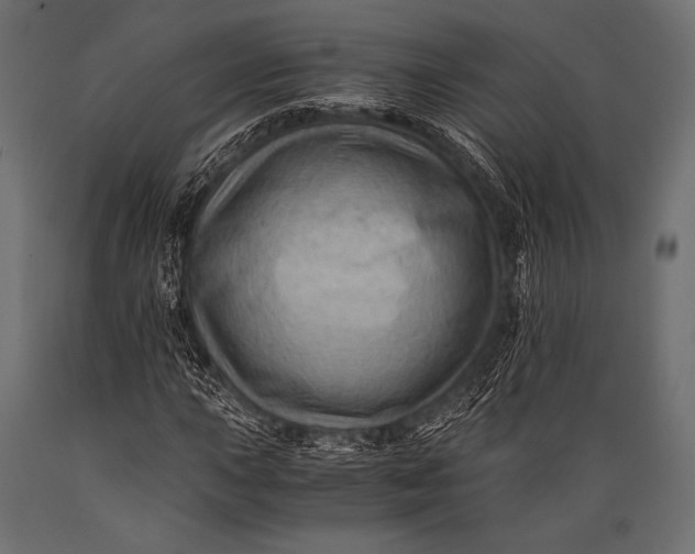 X0000088861015200706291513