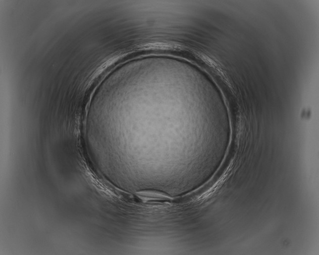 X0000088861017200706291513