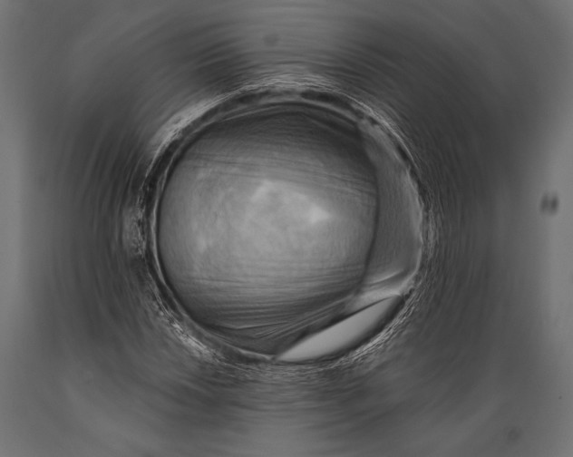 X0000088861018200706291513