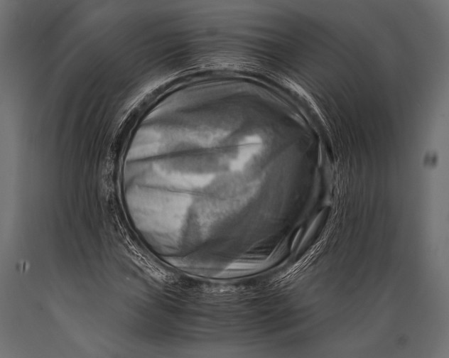 X0000088861019200706291513