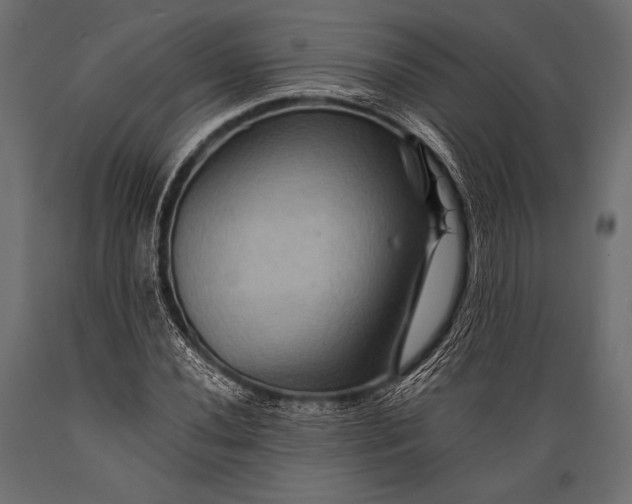 X0000088861020200706291513