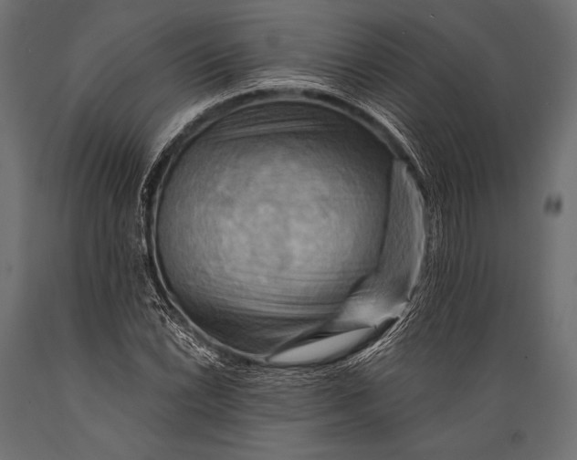 X0000088861022200706291513