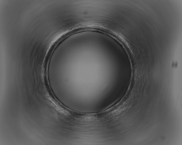 X0000088861024200706291513