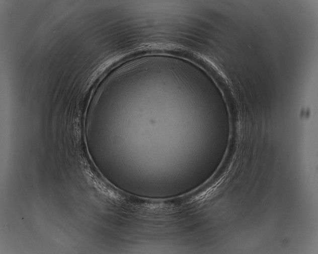 X0000088861025200706291513
