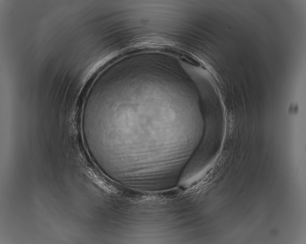 X0000088861026200706291513