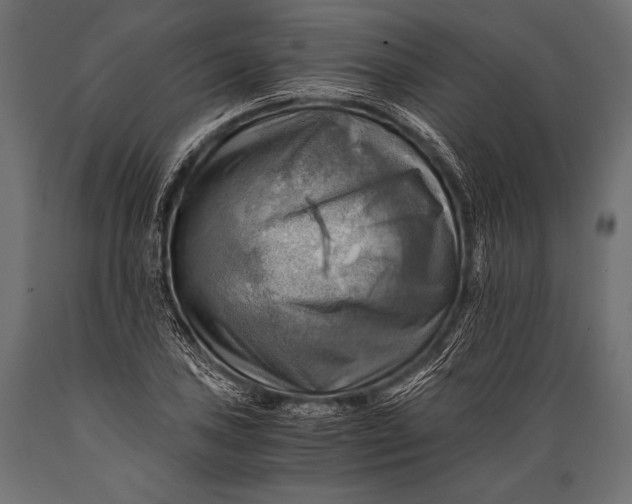 X0000088861027200706291513