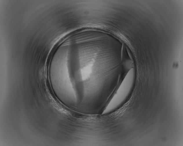 X0000088861028200706291513