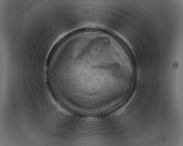 X0000088861029200706291513