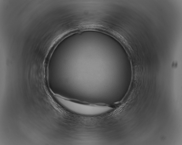 X0000088861031200706291513