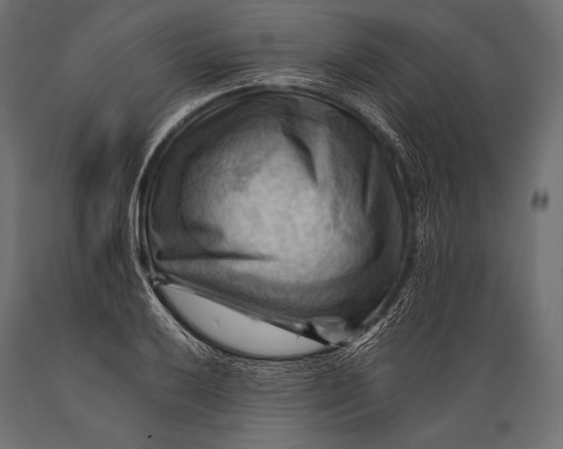 X0000088861032200706291513