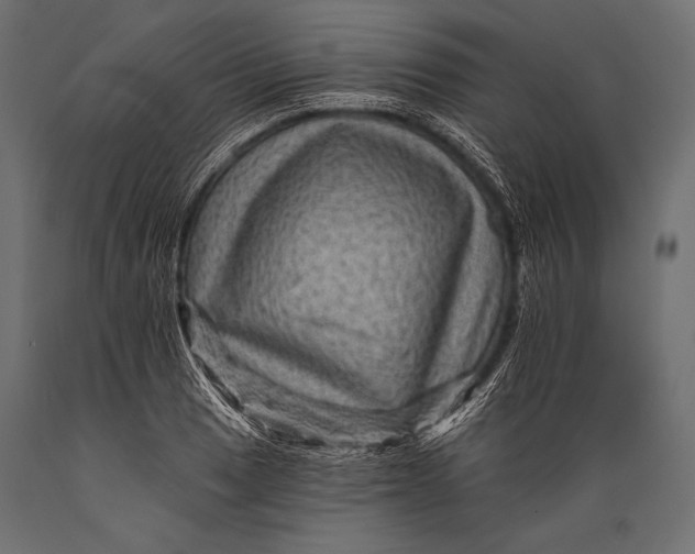 X0000088861033200706291513