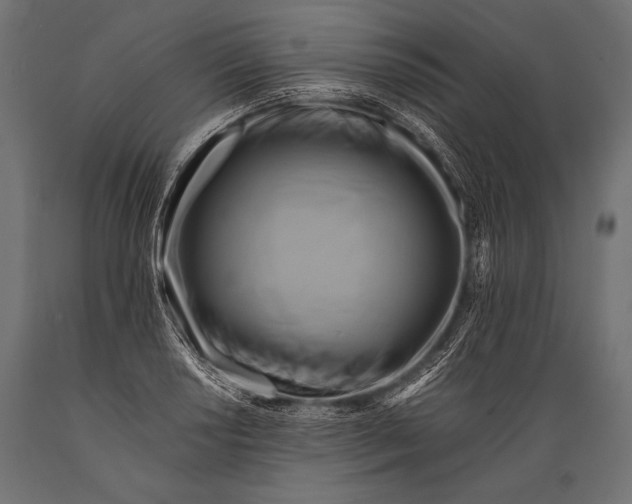 X0000088861034200706291513