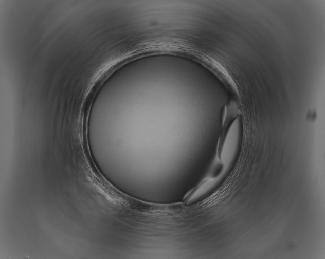 X0000088861035200706291513