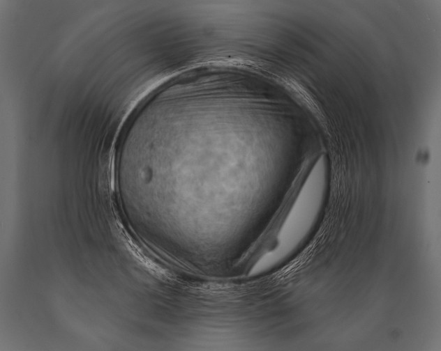 X0000088861036200706291513