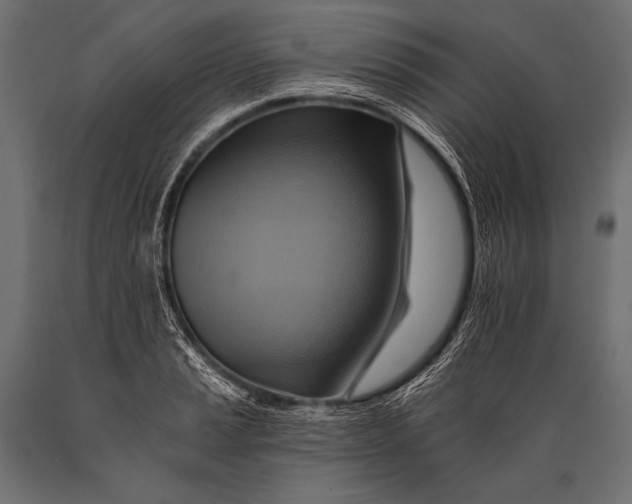 X0000088861037200706291513