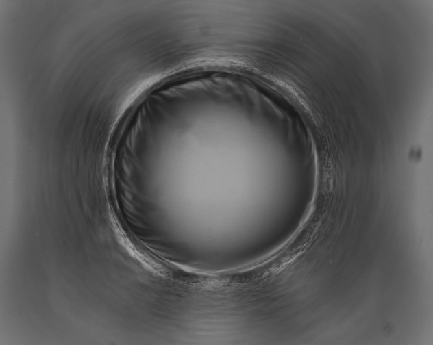 X0000088861038200706291513