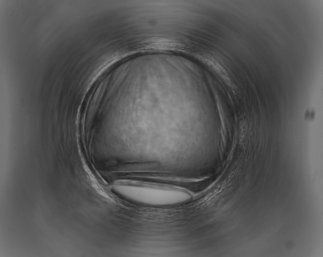 X0000088861039200706291513