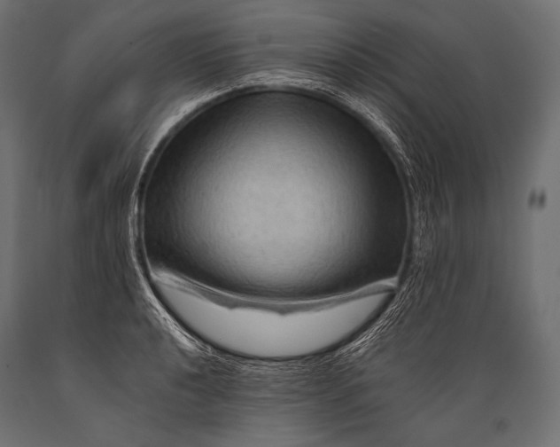 X0000088861040200706291513