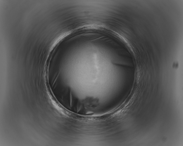 X0000088861042200706291513