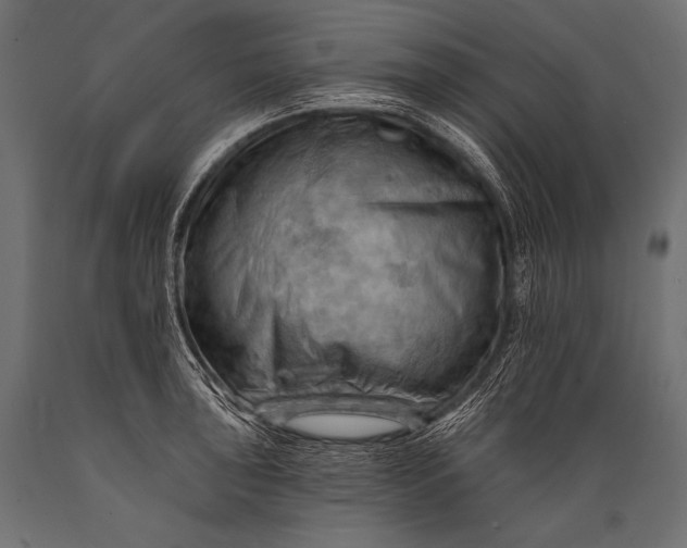 X0000088861043200706291513