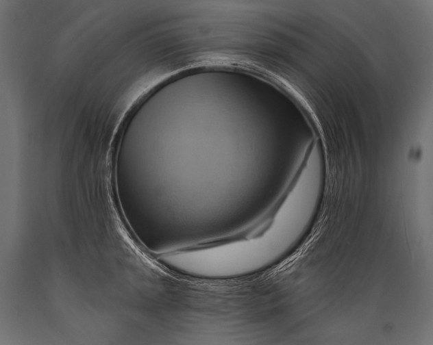 X0000088861045200706291513