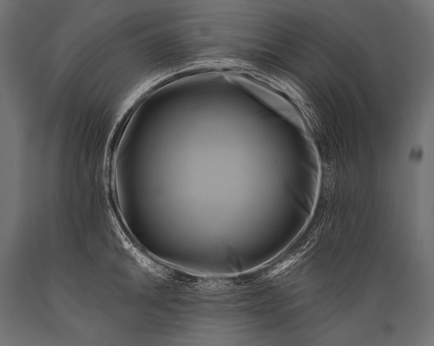 X0000088861046200706291513