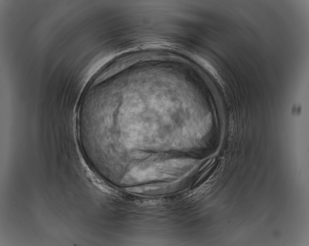 X0000088861047200706291513