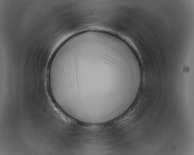 X0000088861048200706291513