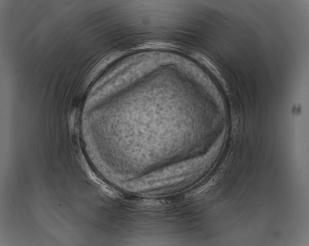 X0000088861049200706291513