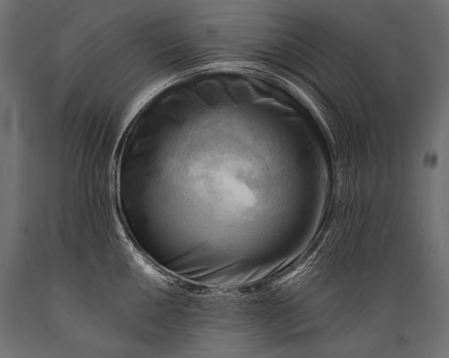 X0000088861050200706291513
