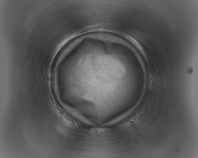 X0000088861051200706291513