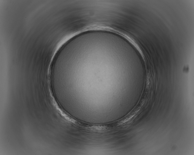 X0000088861053200706291513