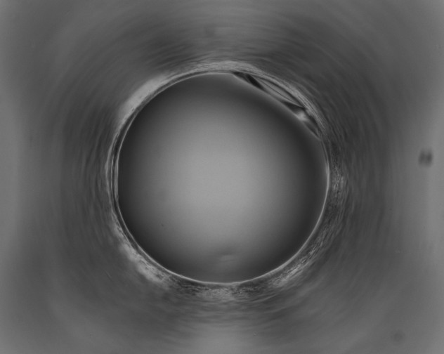 X0000088861054200706291513