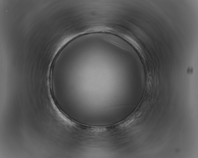X0000088861055200706291513