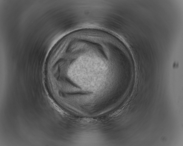 X0000088861056200706291513