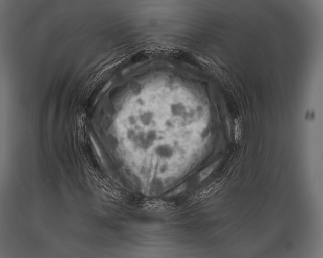X0000088861059200706291512