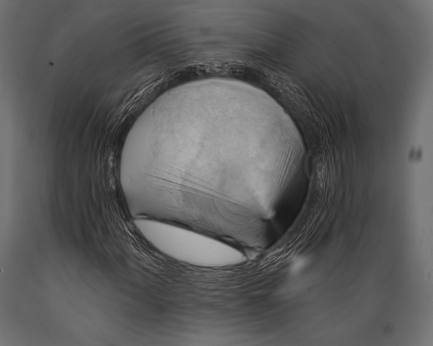 X0000088861060200706291512