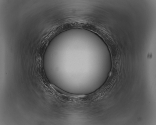X0000088861061200706291512