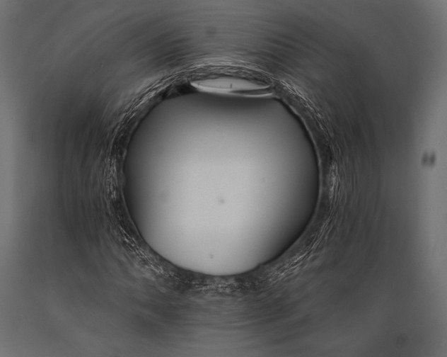 X0000088861062200706291512