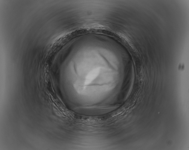 X0000088861063200706291512