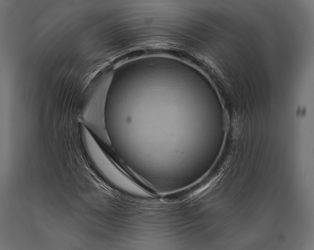 X0000088861065200706291512
