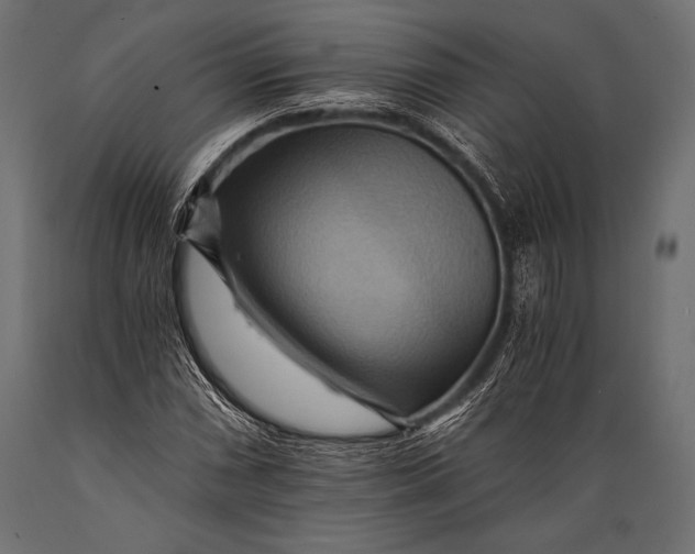 X0000088861066200706291512